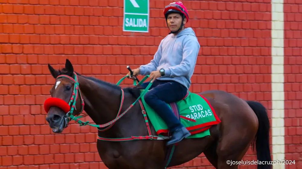 WhatsApp Image 2024-05-15 at 15.18.51