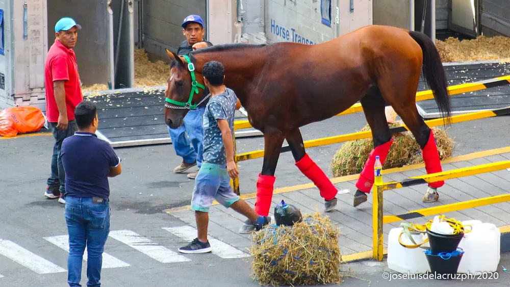 WhatsApp Image 2024-03-29 at 7.19.17 PM