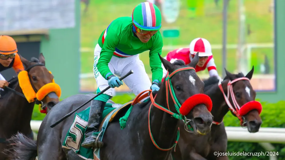 WhatsApp Image 2024-05-26 at 13.56.03