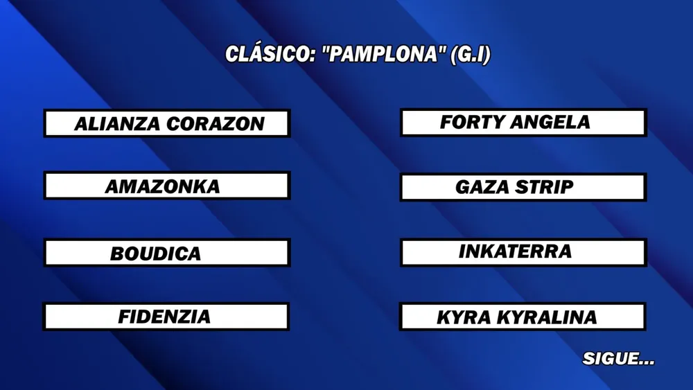 WhatsApp Image 2025-06-16 at 13.53.50 (1)