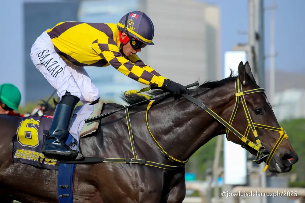 WhatsApp Image 2025-11-29 at 9.24.31 PM (1)