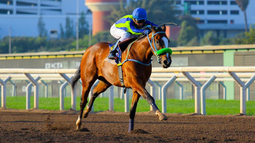 WhatsApp Image 2023-08-13 at 5.16.52 PM