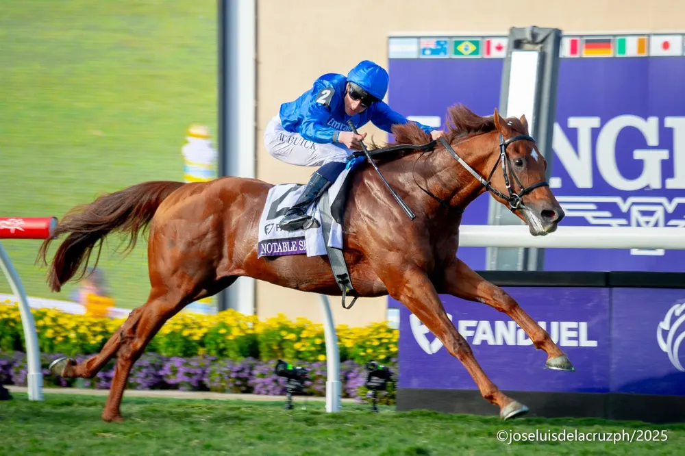 WhatsApp Image 2025-11-04 at 12.48.36 PM (1)