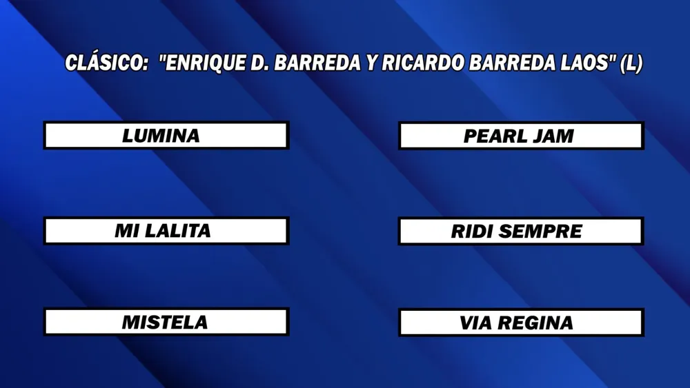 WhatsApp Image 2025-03-17 at 13.59.19