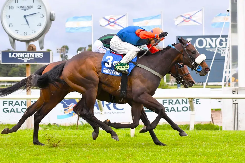 555793492_1215434253950283_1789248926138704188_n