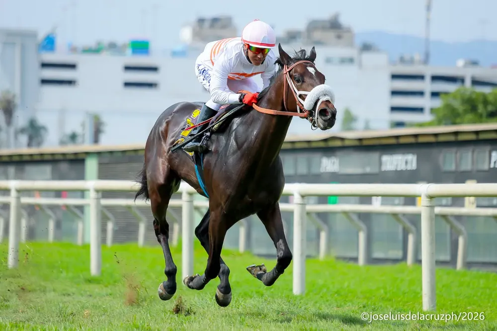 WhatsApp Image 2026-01-11 at 3.50.02 PM