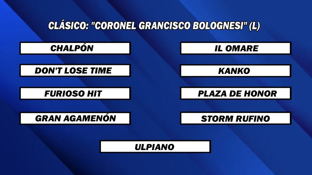 WhatsApp Image 2025-05-26 at 14.13.58 (1)