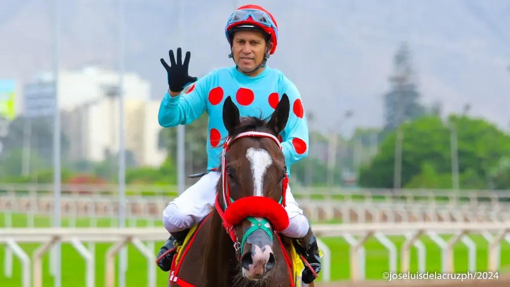 WhatsApp Image 2024-01-13 at 7.26.32 PM