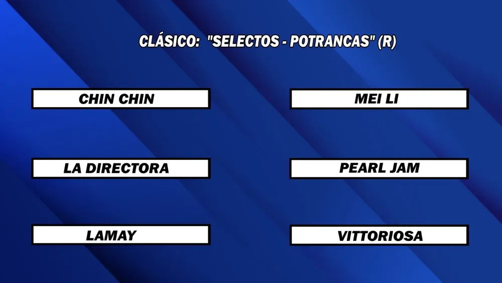 WhatsApp Image 2025-06-02 at 14.04.16