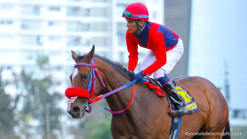 WhatsApp Image 2024-02-12 at 2.43.18 PM