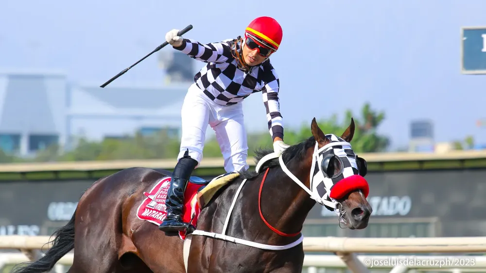 WhatsApp Image 2023-12-24 at 4.05.23 PM