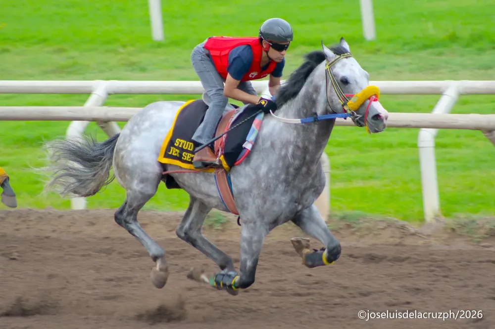 WhatsApp Image 2026-01-12 at 12.24.02 PM