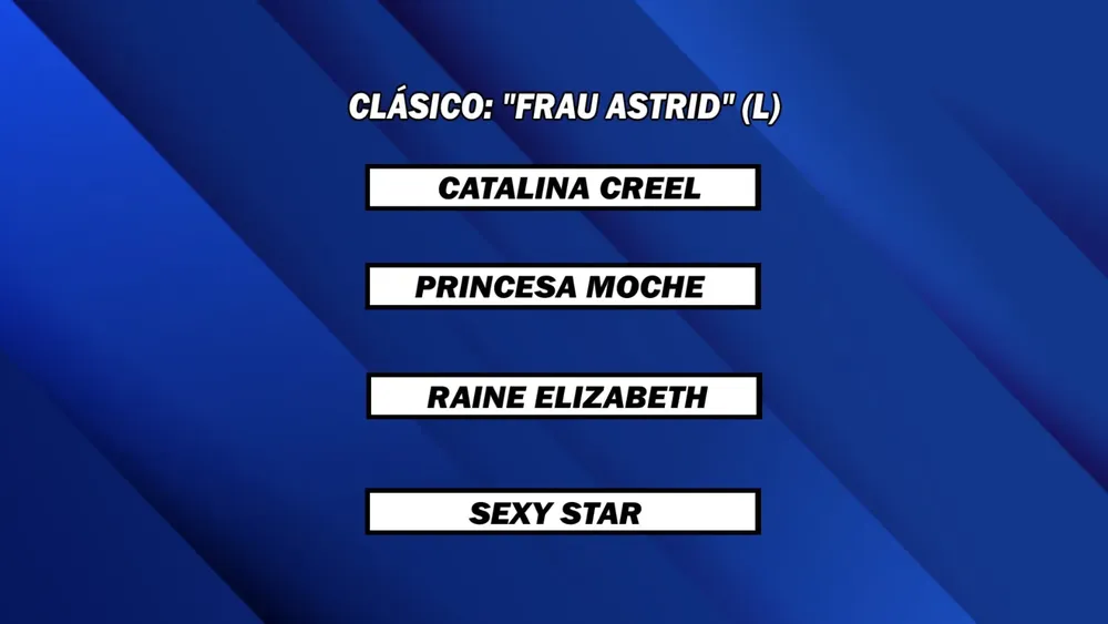 WhatsApp Image 2025-01-13 at 13.58.39