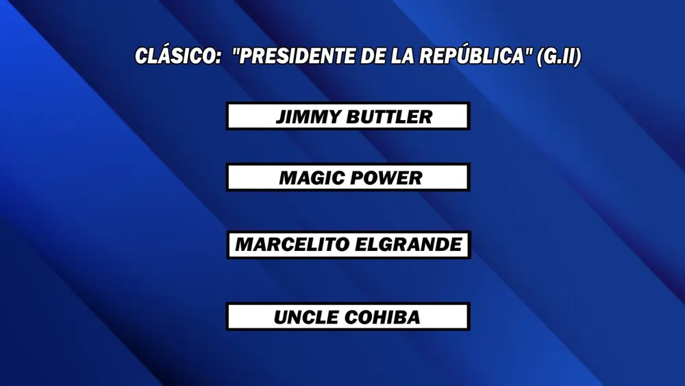 WhatsApp Image 2025-11-04 at 1.30.48 PM (2)