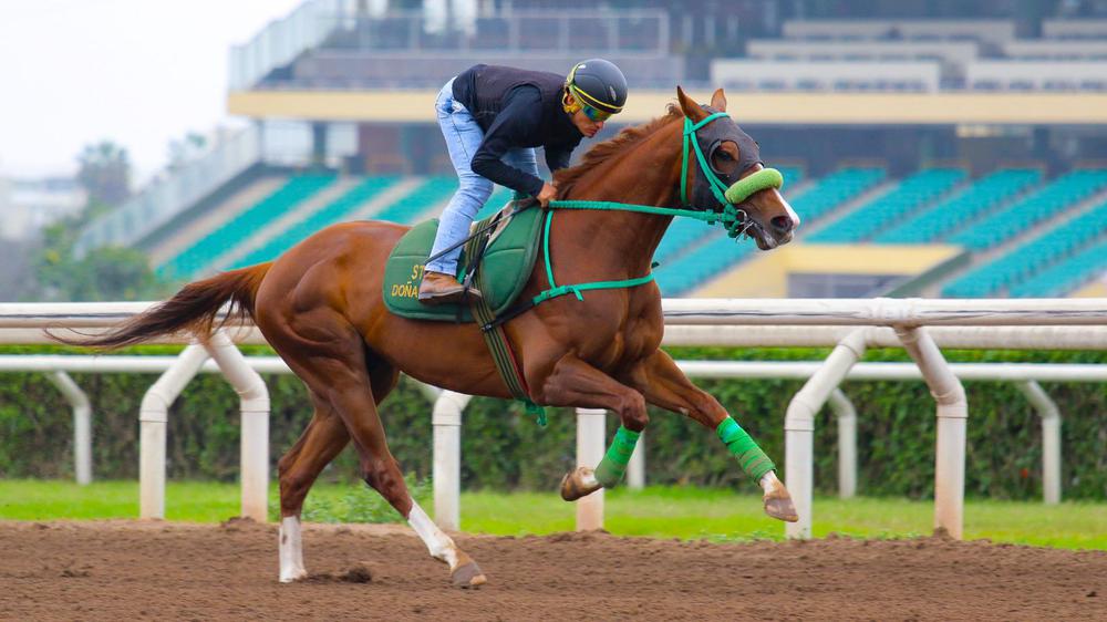 WhatsApp Image 2023-09-07 at 9.53.07 AM