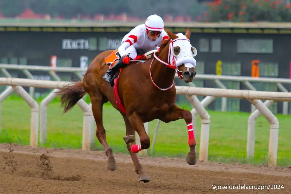 WhatsApp Image 2024-08-13 at 13.35.15