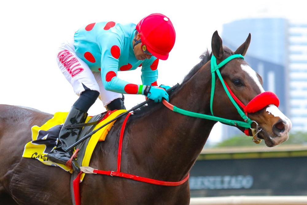 WhatsApp Image 2023-07-02 at 4.08.10 PM (1)