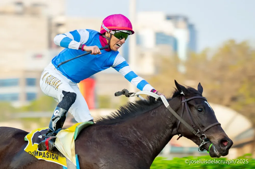 WhatsApp Image 2025-11-24 at 4.47.45 PM (1)