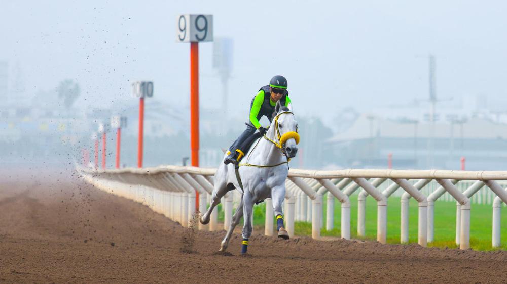 WhatsApp Image 2023-09-23 at 10.13.34 AM