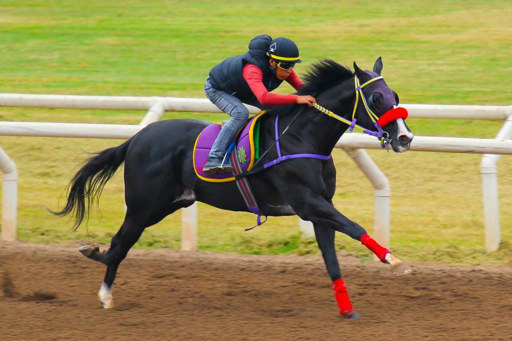 WhatsApp Image 2023-06-26 at 11.34.37 AM