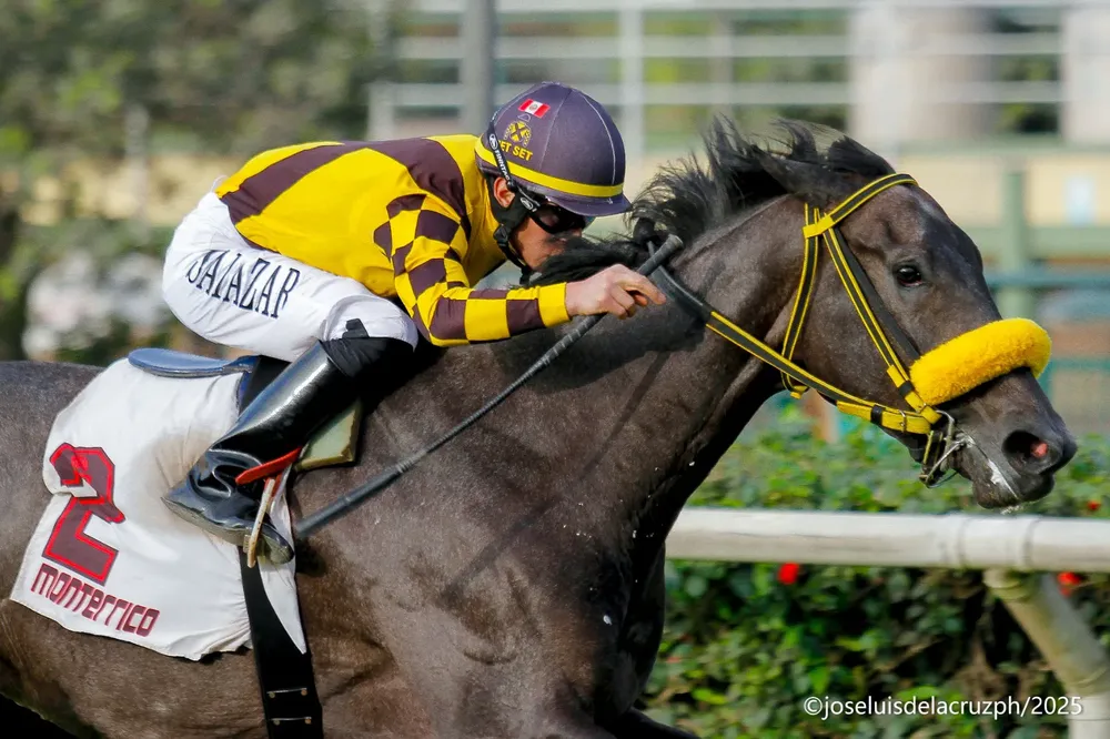 WhatsApp Image 2025-10-25 at 7.39.29 PM