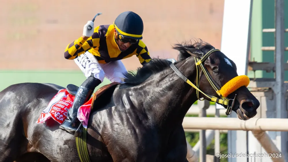 WhatsApp Image 2024-07-06 at 16.03.24