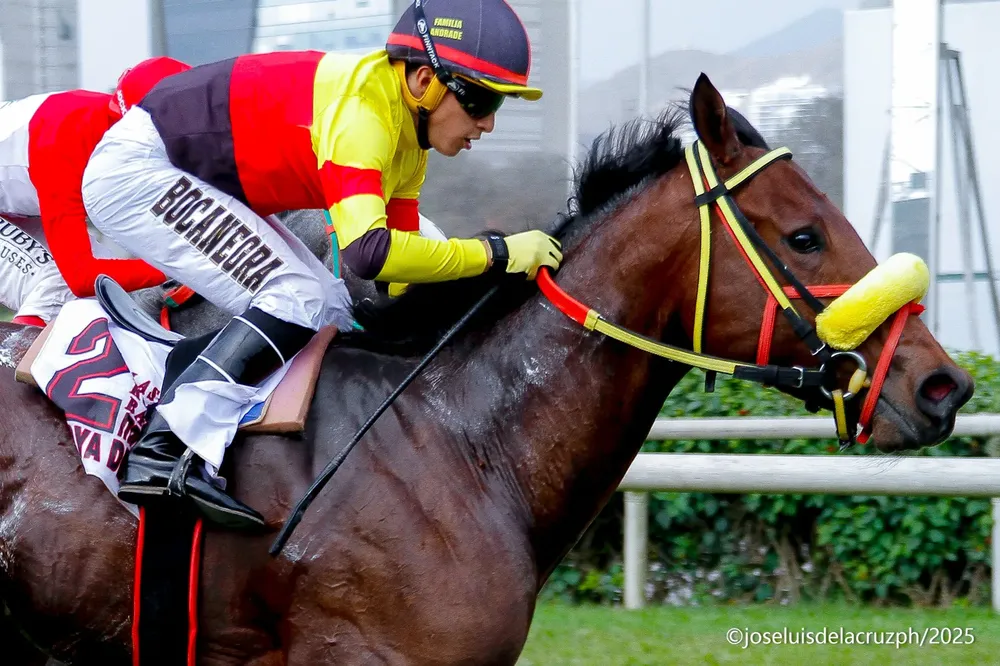 WhatsApp Image 2025-10-05 at 4.37.59 PM (1)