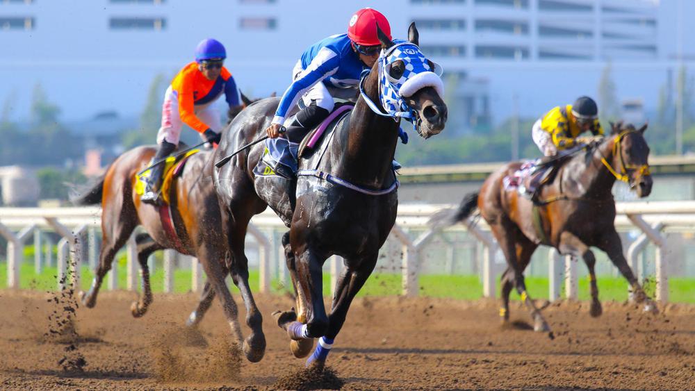 WhatsApp Image 2023-07-28 at 3.50.52 PM