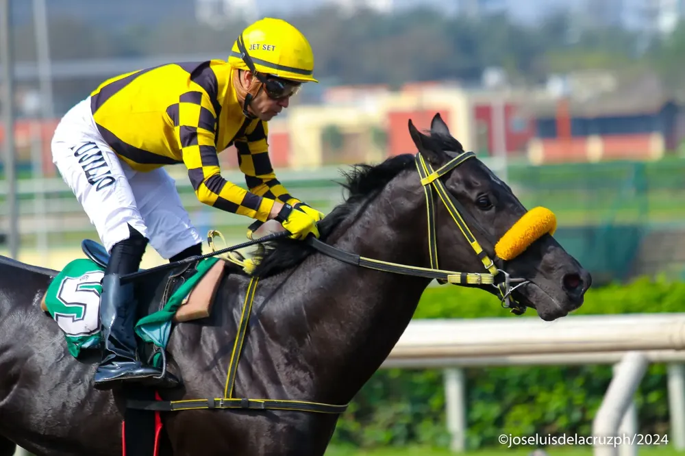 WhatsApp Image 2024-10-02 at 14.51.33