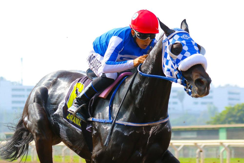 WhatsApp Image 2023-06-25 at 2.50.07 PM