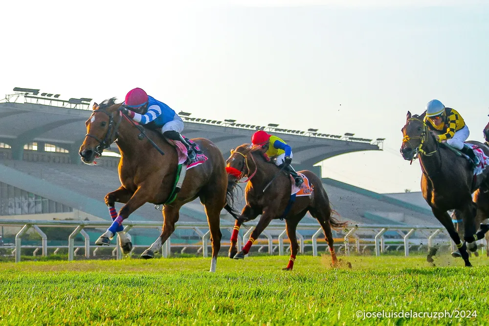 WhatsApp Image 2024-10-13 at 09.04.42