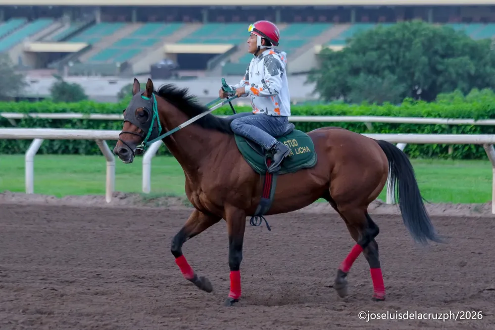 WhatsApp Image 2026-01-20 at 11.39.47 AM