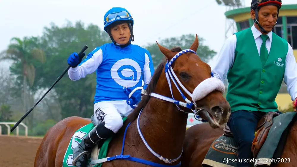 WhatsApp Image 2023-11-13 at 2.26.34 PM