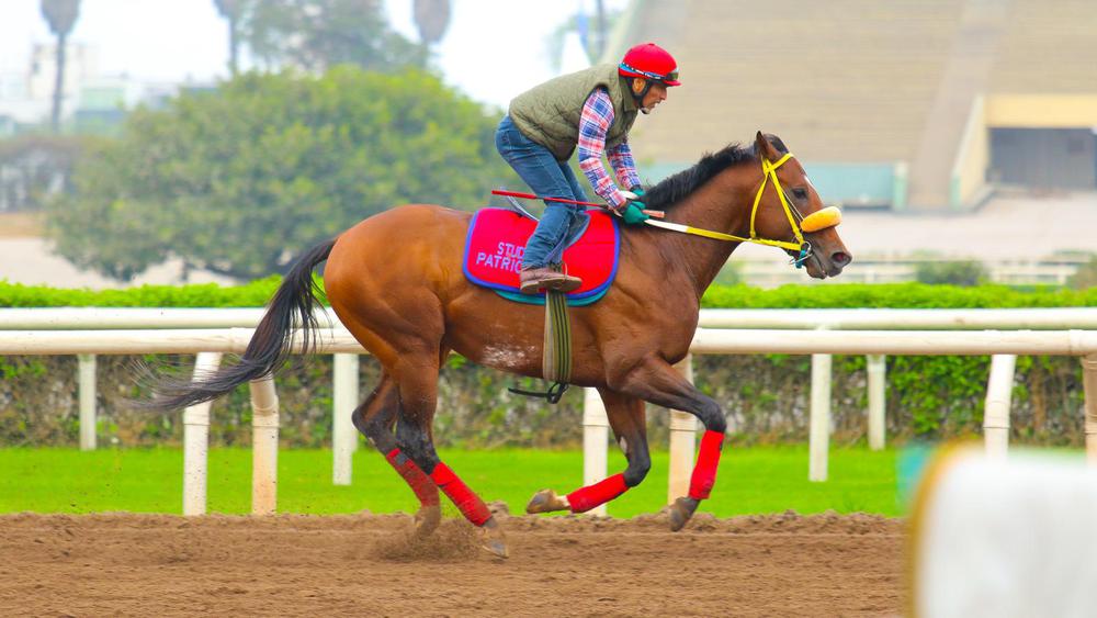 WhatsApp Image 2023-07-18 at 10.18.38 AM