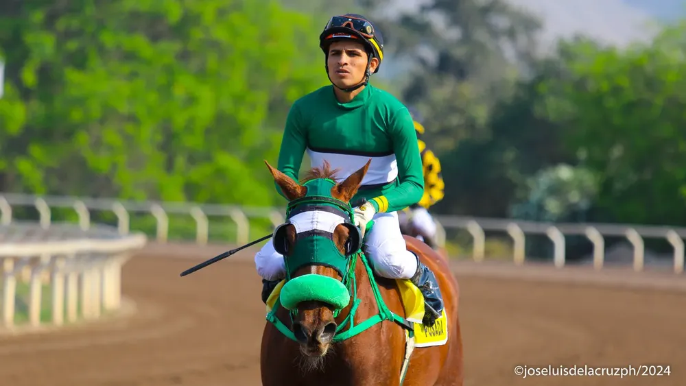 WhatsApp Image 2024-01-10 at 12.22.58 PM