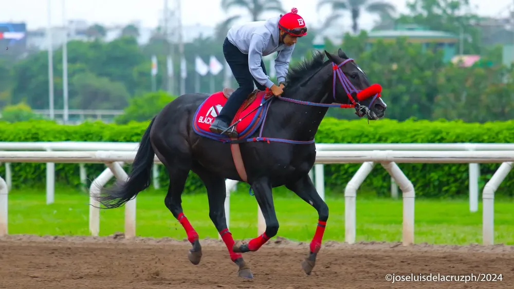 WhatsApp Image 2024-05-16 at 10.23.22