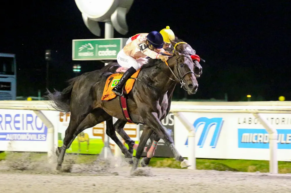 WhatsApp Image 2026-01-09 at 7.59.07 AM