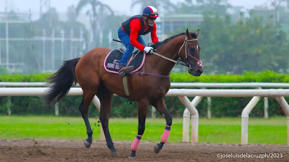 WhatsApp Image 2024-05-02 at 10.38.17