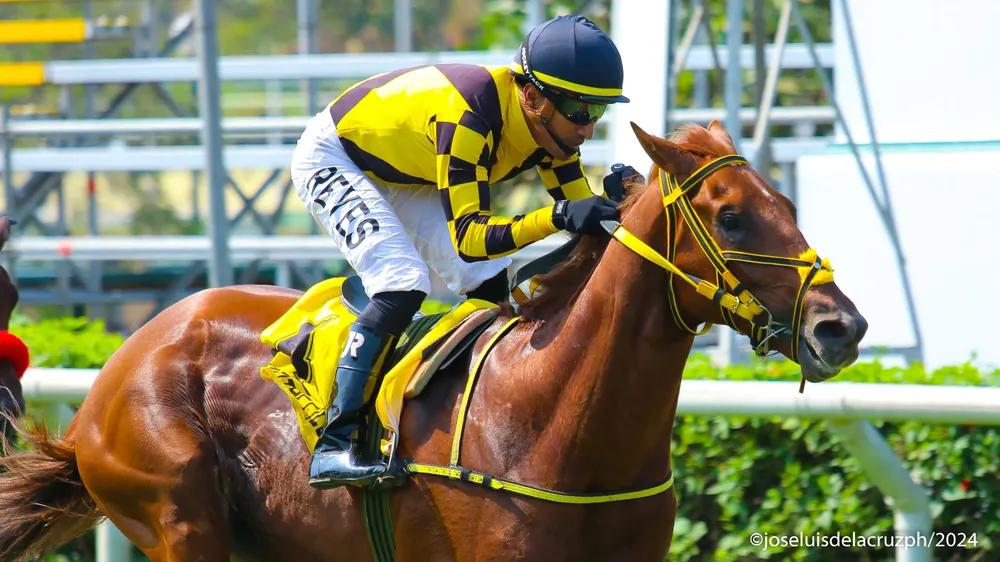 WhatsApp Image 2024-04-28 at 14.14.51