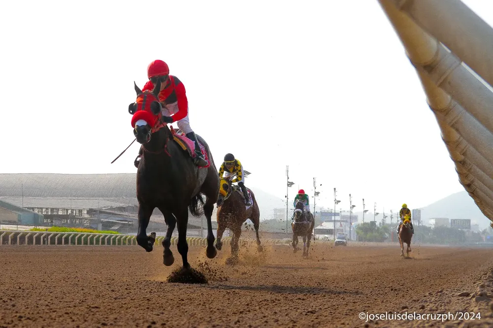 WhatsApp Image 2024-05-11 at 15.36.28