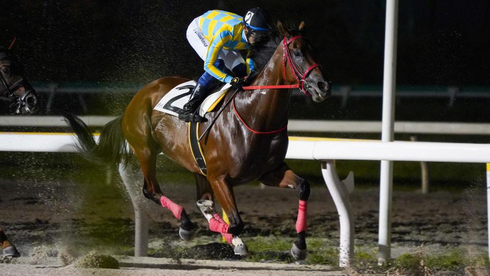 WhatsApp Image 2023-09-29 at 9.41.22 AM