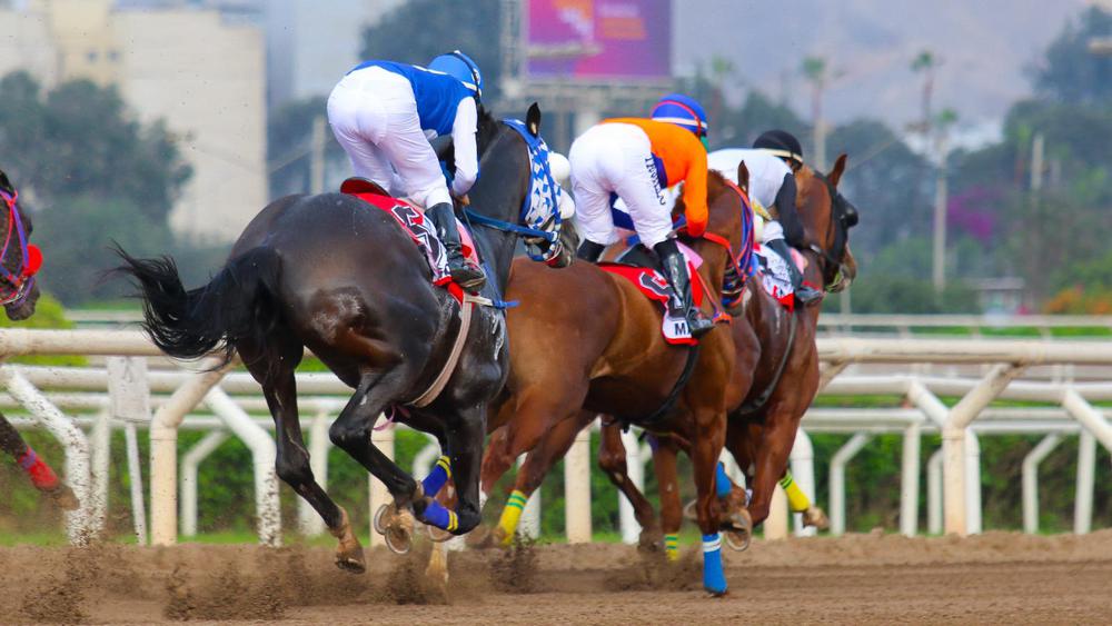 WhatsApp Image 2023-08-17 at 5.01.12 PM