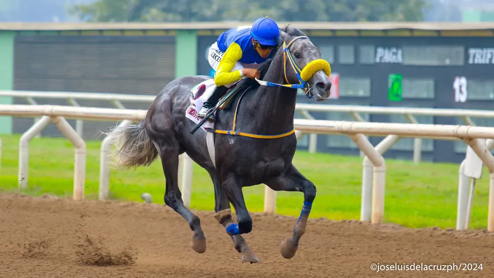 WhatsApp Image 2024-06-22 at 19.30.16