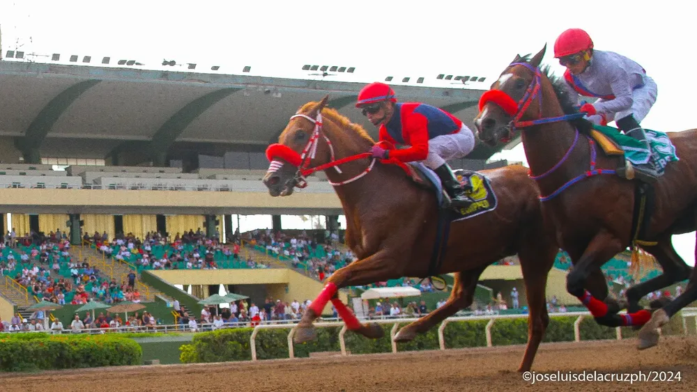 WhatsApp Image 2024-02-20 at 4.55.26 PM