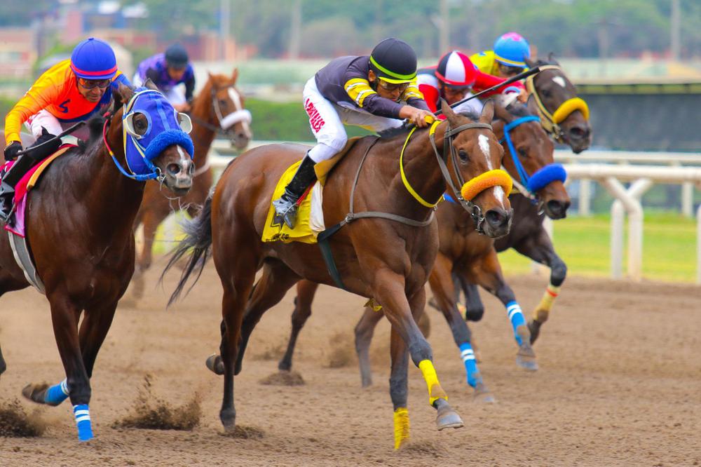 WhatsApp Image 2023-06-26 at 2.45.39 PM