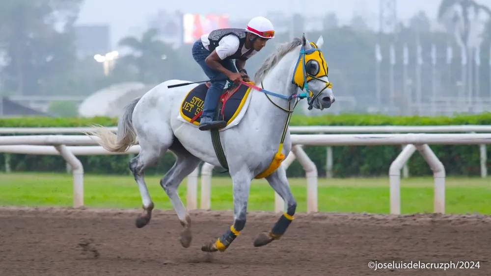 WhatsApp Image 2024-04-24 at 09.46.45