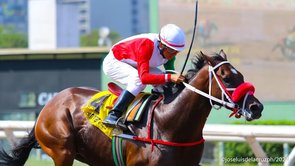 WhatsApp Image 2024-04-29 at 14.52.24