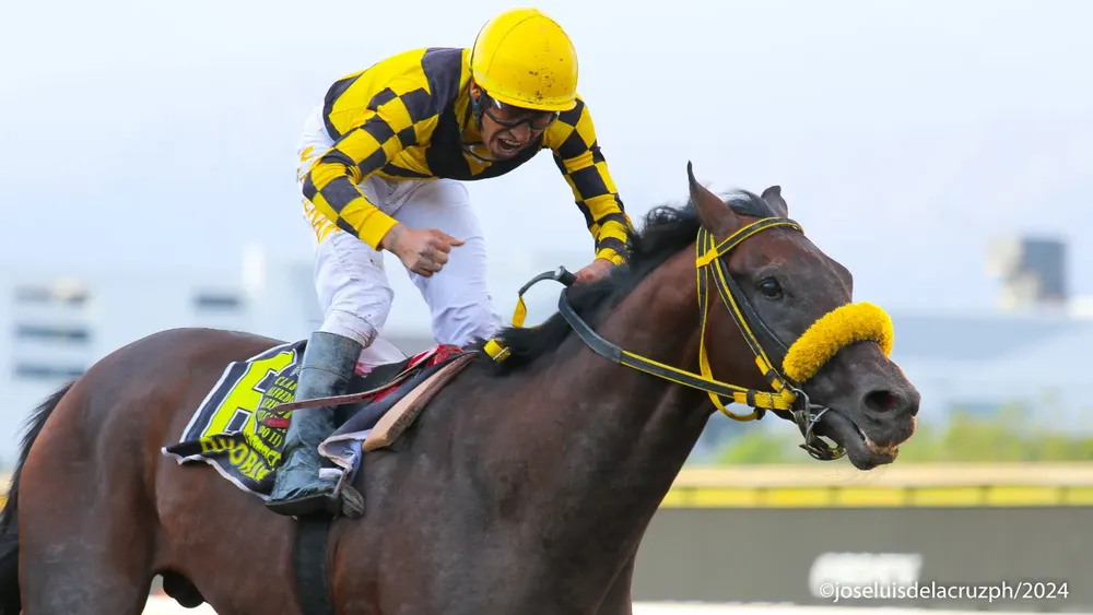 WhatsApp Image 2024-03-03 at 5.41.07 PM