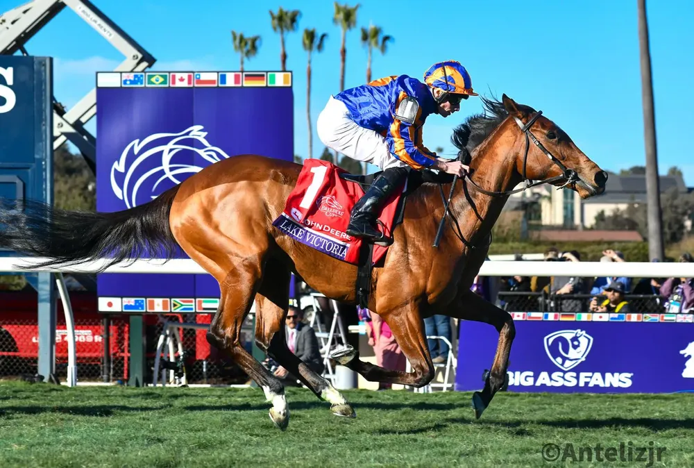 WhatsApp Image 2024-11-01 at 18.23.37