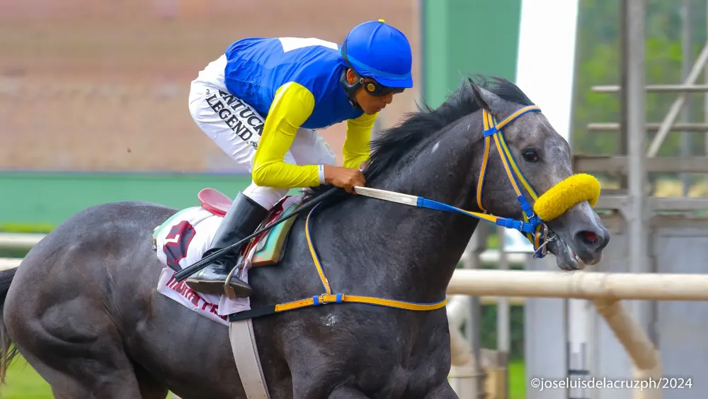 WhatsApp Image 2024-07-08 at 14.23.00